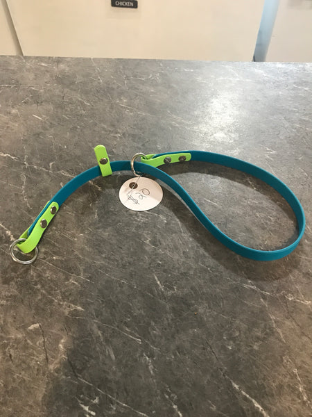 Biothane Training slip collar lagoon and green