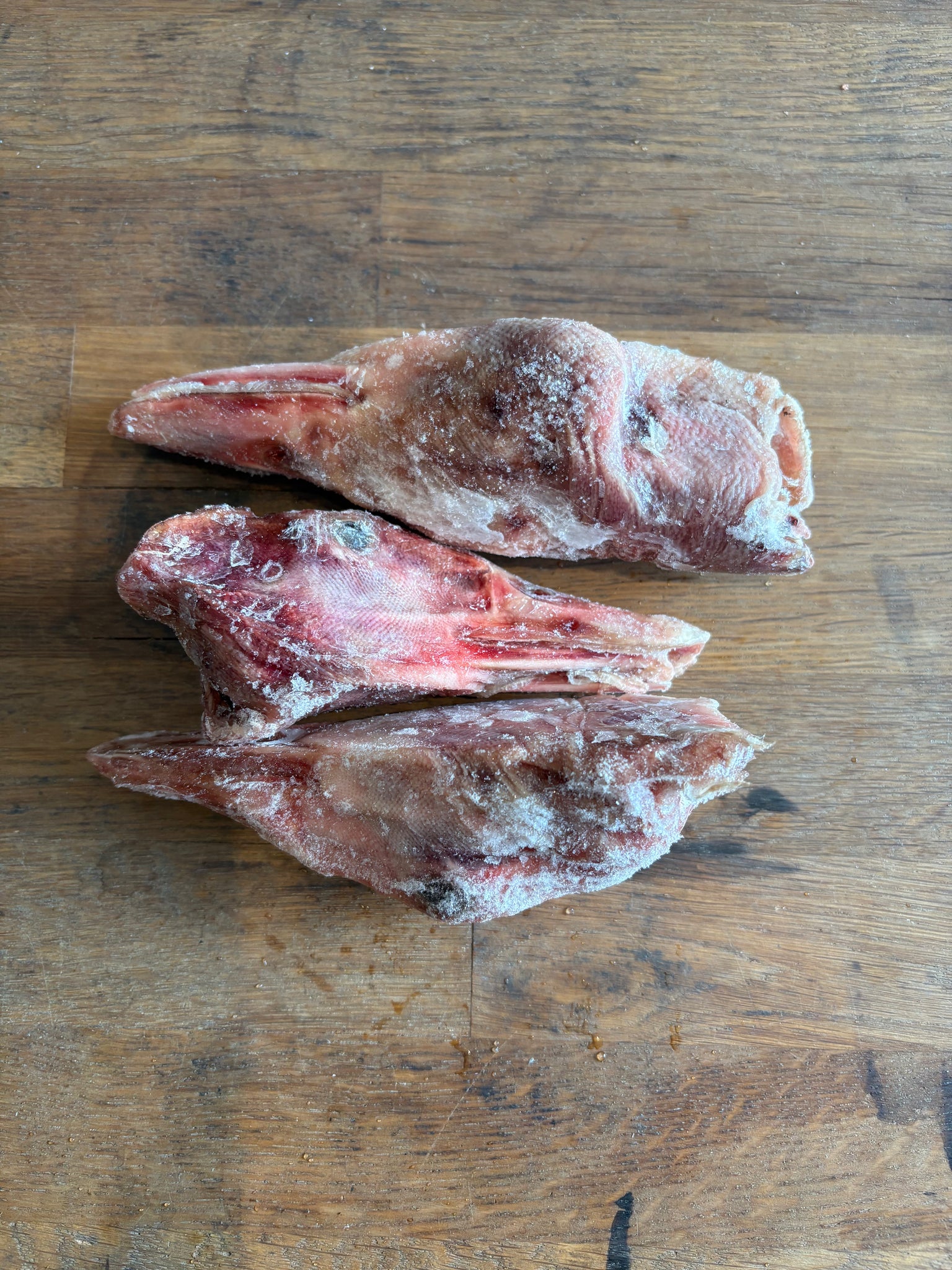 Duck Heads