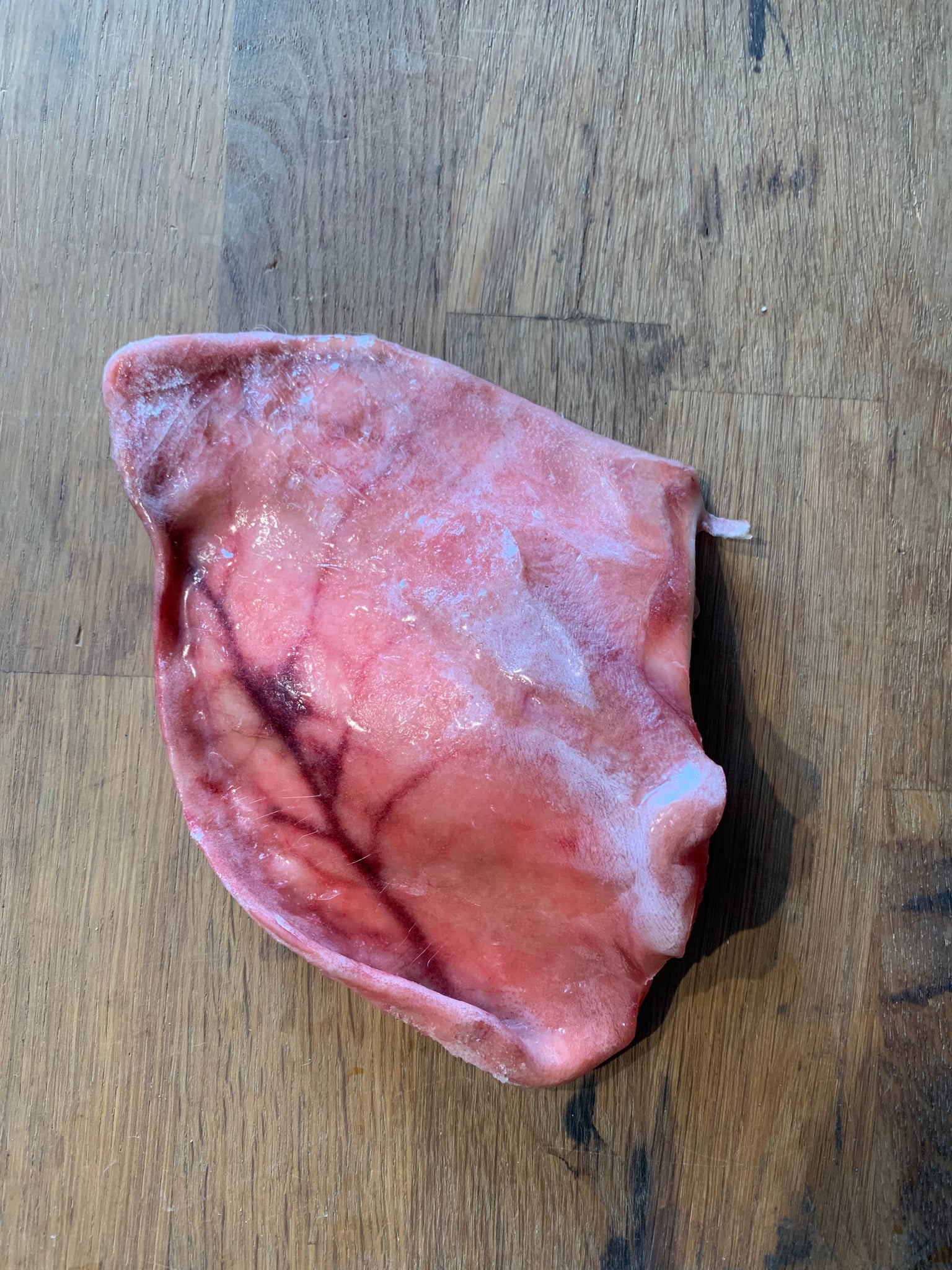 Raw Pork Ears