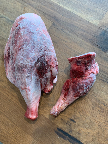 Beaver Legs