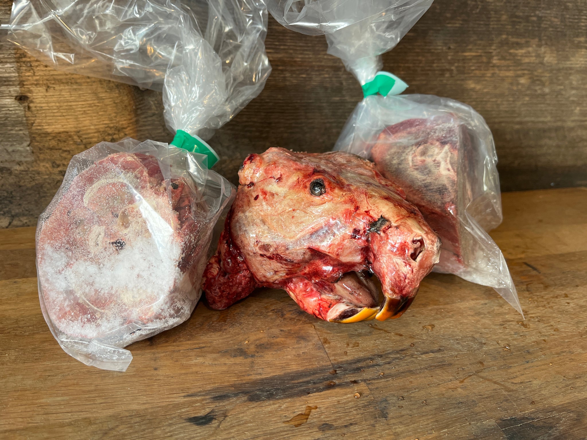 Beaver Heads