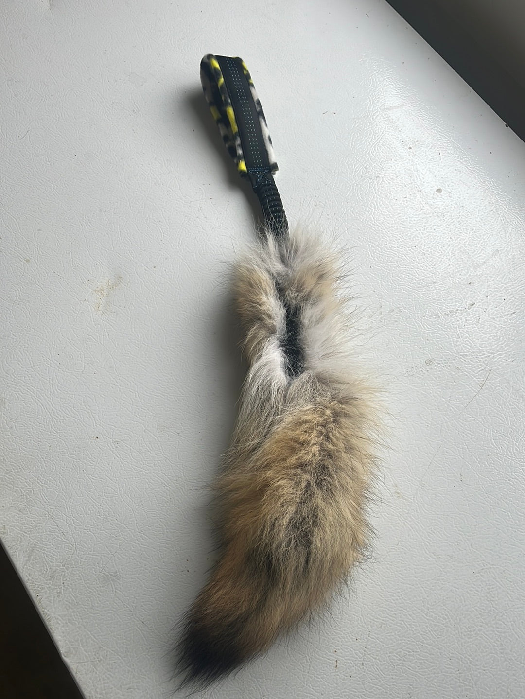 Small Coyote Tail Tug Toy