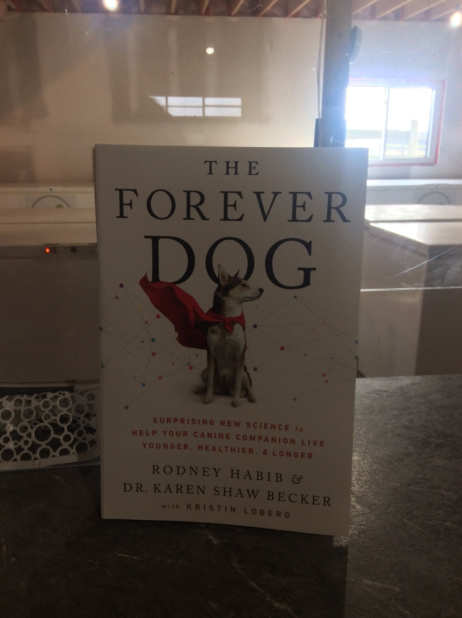 Forever Dog Book