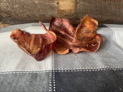Whole Dehydrated Pigs Ear